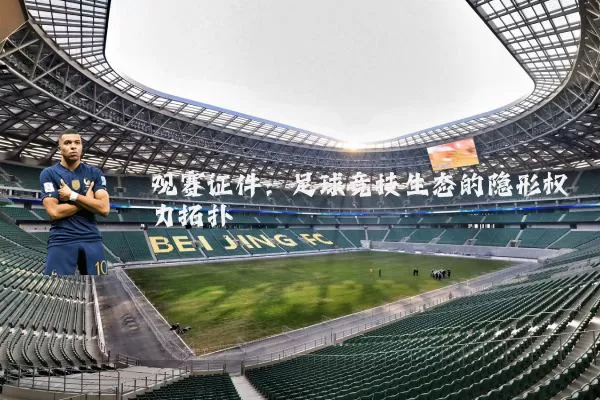观赛证件:足球竞技生态的隐形权力拓扑